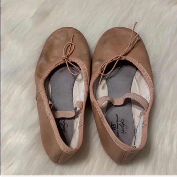 American Ballet Theatre Ballet Slippers - Picture 1 of 7